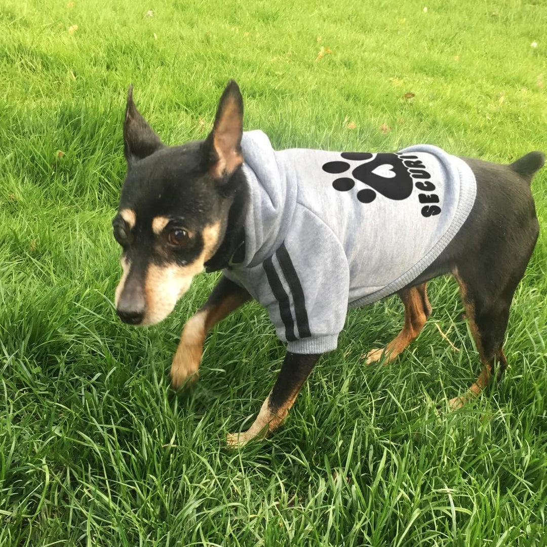 Hunde Hoodie Kleidung für Haustiere Hundepullover Weste Herbst Winter Hundepullover Welpenkostüme Mä