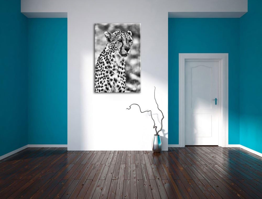 Pixxprint Monocrome, ausgewachsener Gepard, Format: 100x70 auf Leinwand, 100x70
