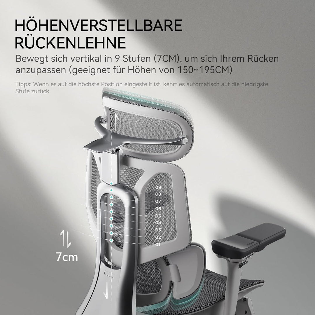 Hbada Ergonomischer Bürostuhl E3 Pro • 3-Zonen Lendenstütze (Weiss) Pro-weiss, Pro-weiss