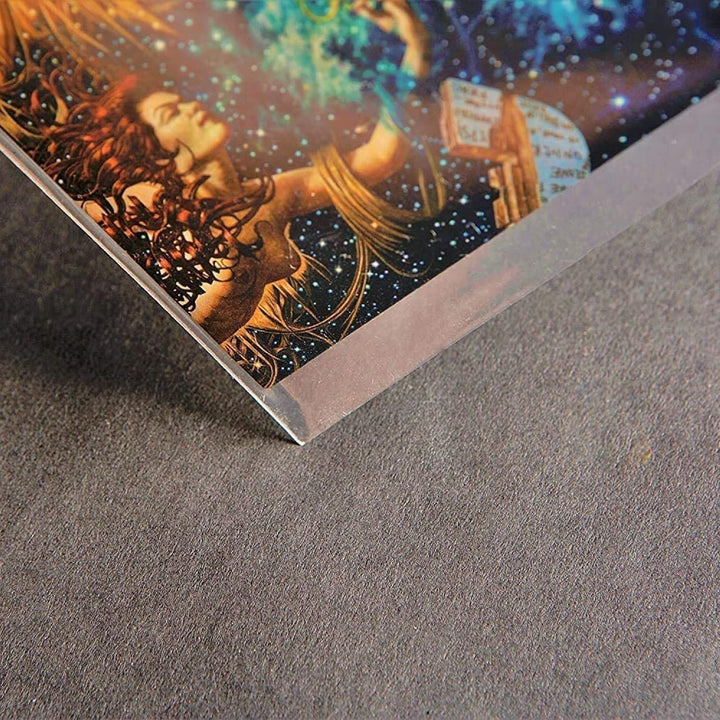 BIG FUDGE Vinyl Schutzhüllen - 50 Innenhüllen &amp; 50 Aussenhüllen für 12 Inch Schallplatten - LP Hülle