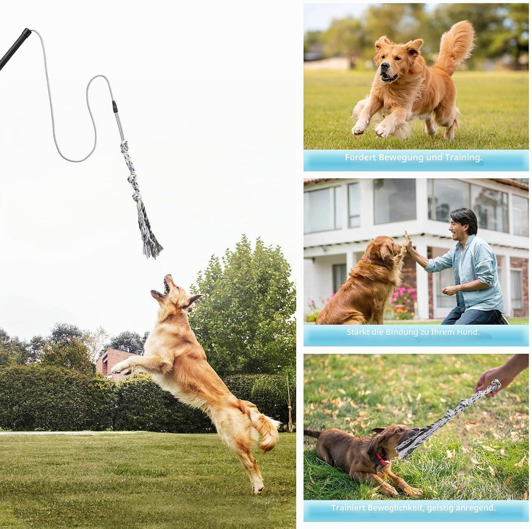 Flirt Pole Für Welpen Hunde,Interaktive Jagd und Zerrspielzeug Im Freien Hundespielzeug,Reizangel Ch