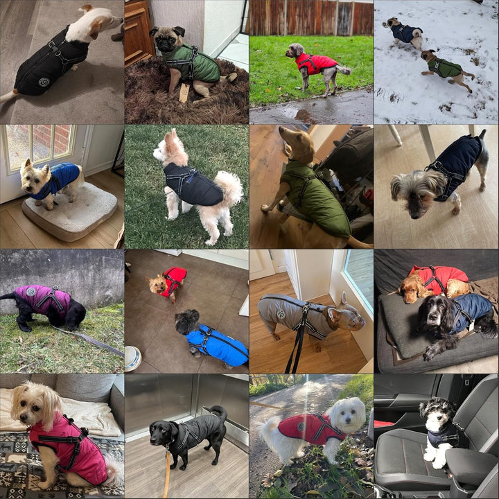 Savlot Hundejacke Winterweste Jacken Hundemantel Hundepullover Haustier Skifahren Kostüm Ärmellose B