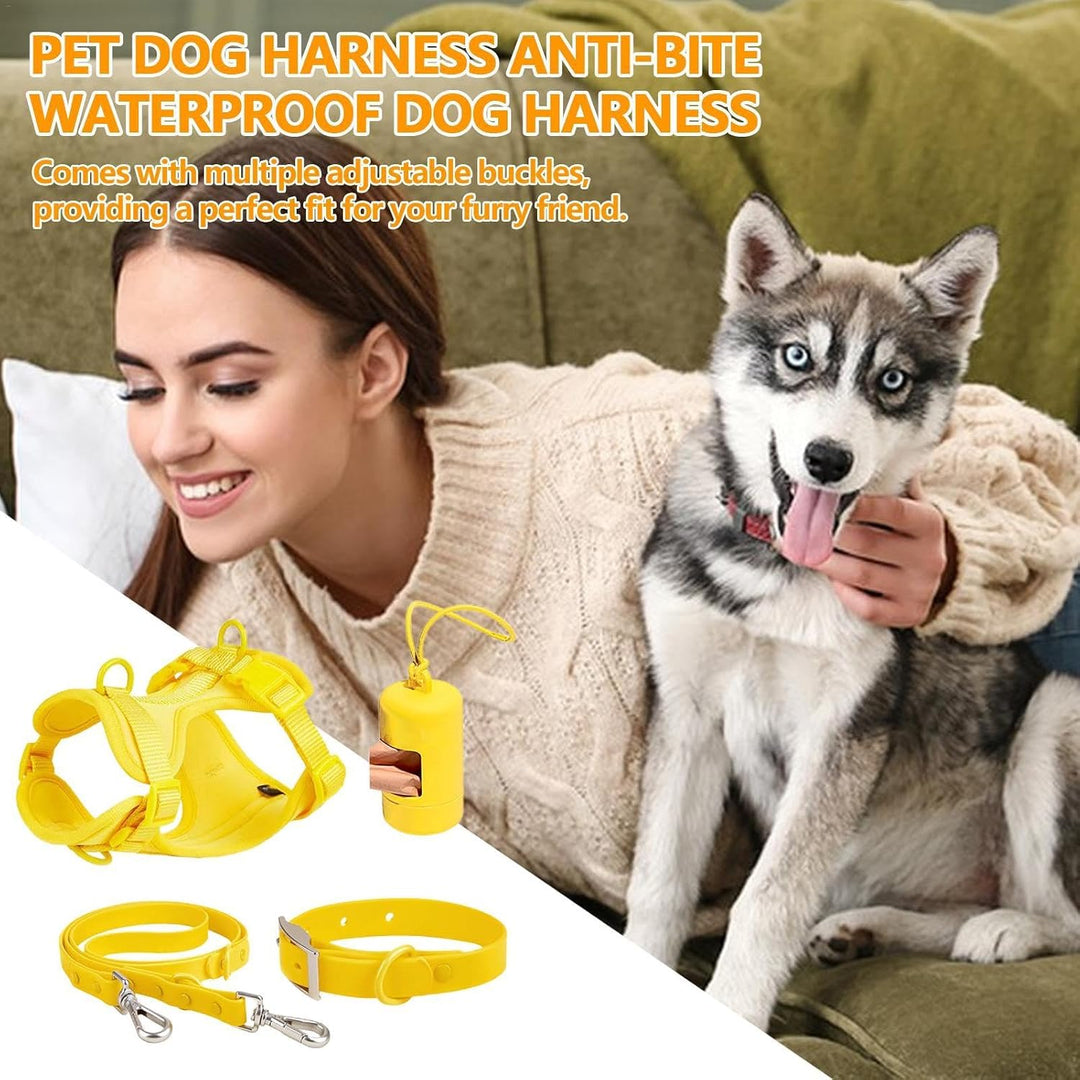 Hundegeschirr-Set, mittelgrosse Hunde, Haustiergeschirr, Halsband und Leine, Hundegeschirr mit Leine