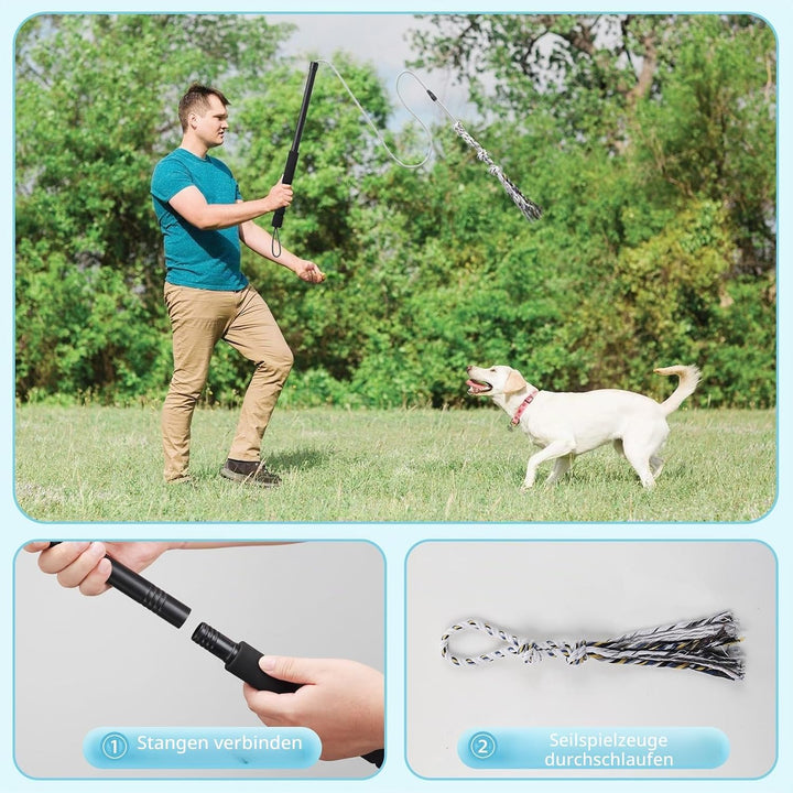 Flirt Pole Für Welpen Hunde,Interaktive Jagd und Zerrspielzeug Im Freien Hundespielzeug,Reizangel Ch