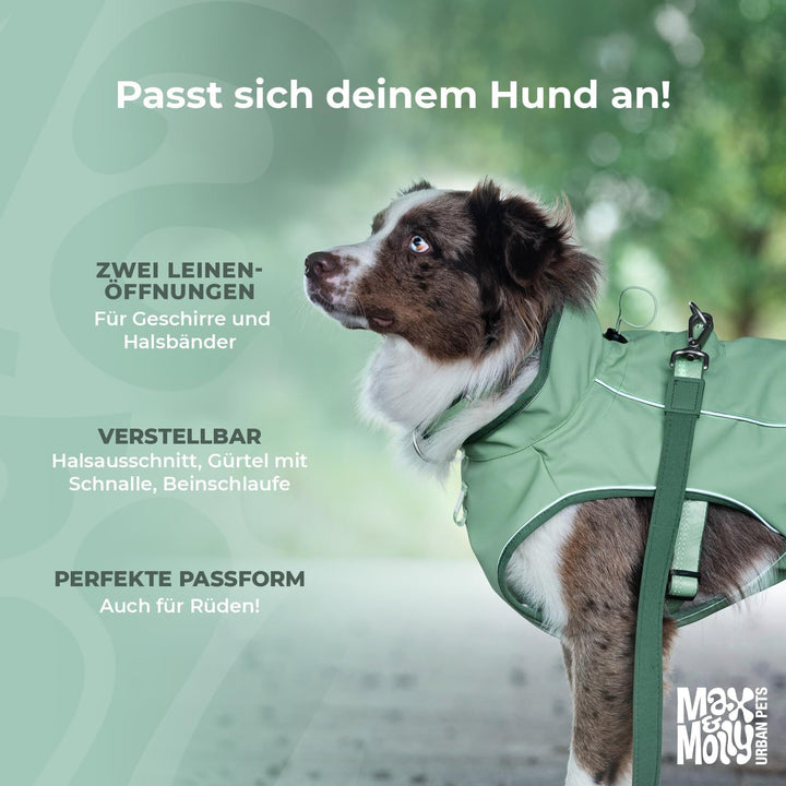 Max &amp; Molly Regenmantel Hund wasserdicht, XS, Stone, Sportliche Regenjacke für Hunde mit verstellbar