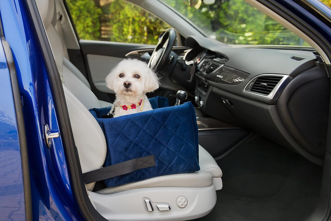 BOUTIQUE ZOO Exclusive Hunde Autositz | Autositz für Hunde, Katzen, Haustier | Rückbank, Beifahrersi