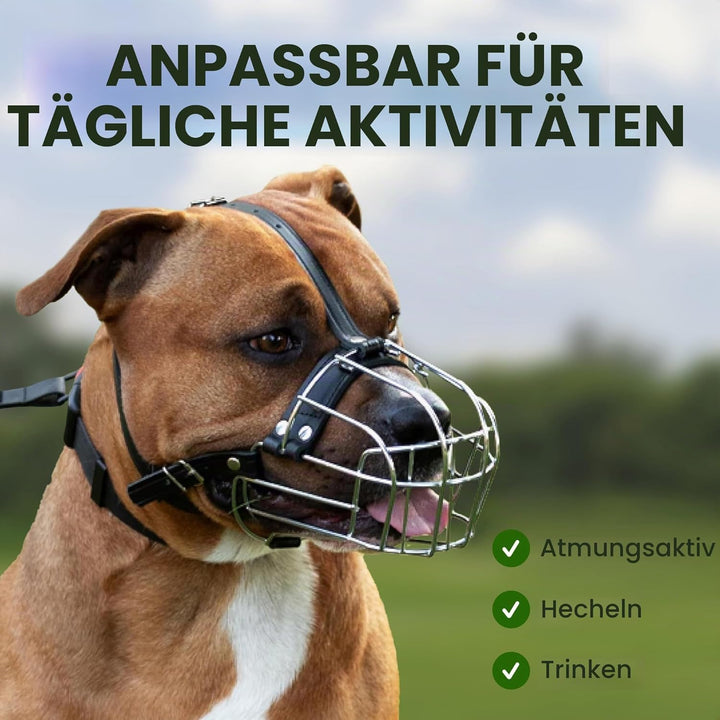 BronzeDog Hundemaulkorb Pitbull Metallmaske Amstaff Drahtkorb Pit Bull verstellbare Lederbänder für