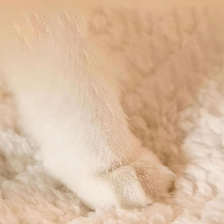 Katzensack Schlafsack, waschbares Beutelbett, Rückzugsort | Kätzchen-Sackbett Bequemes Schlafbett, P