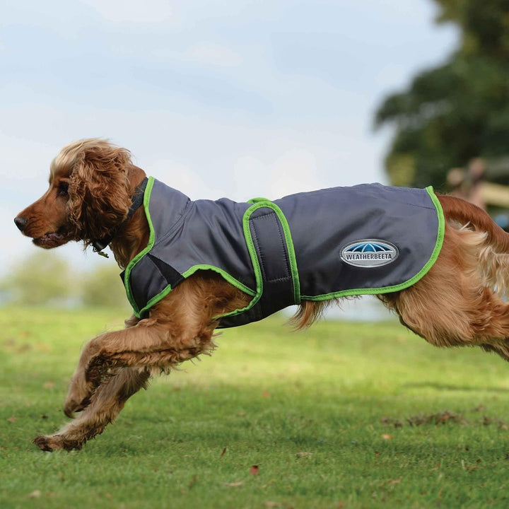 Weatherbeeta 2022 Comfitec Windbreaker Free Deluxe Hundemantel 1003914 - Dunkelblau/Grau/Weiss - 25