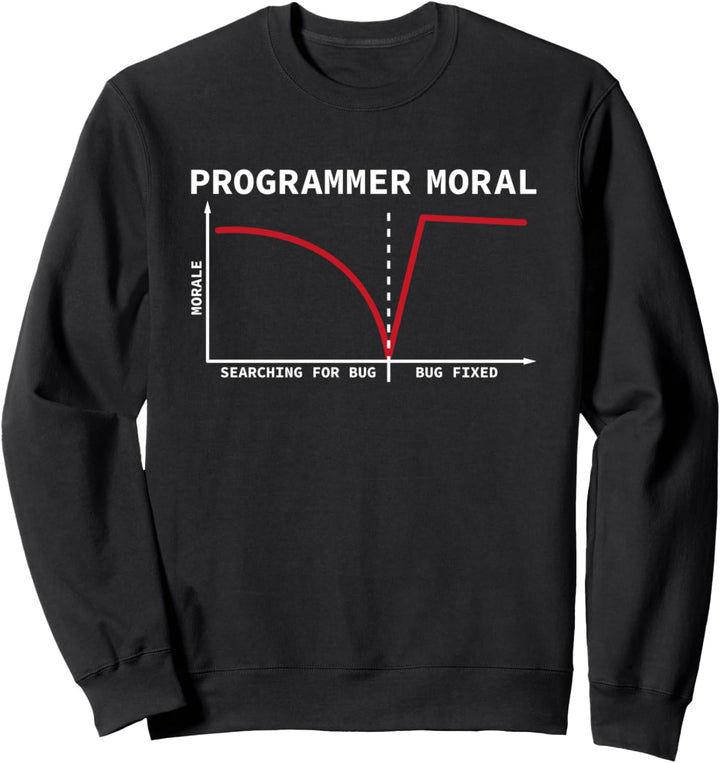 Programmierer Moral Informatiker Coding Sweatshirt