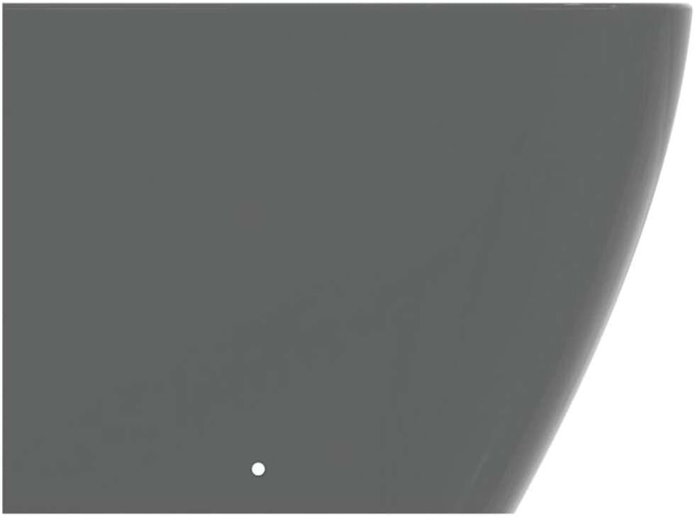 Ideal Standard - i.life B, Bidet Bodendraht, mit Hahnloch, mit Überlaufloch, grau glänzend