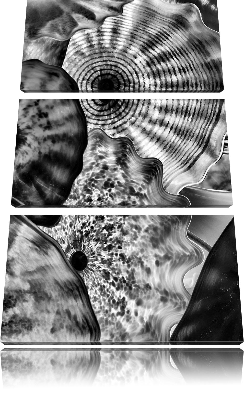 Pixxprint Monocrome, Bunte Quallen 3-Teiler Leinwandbild 120x80 Bild auf Leinwand