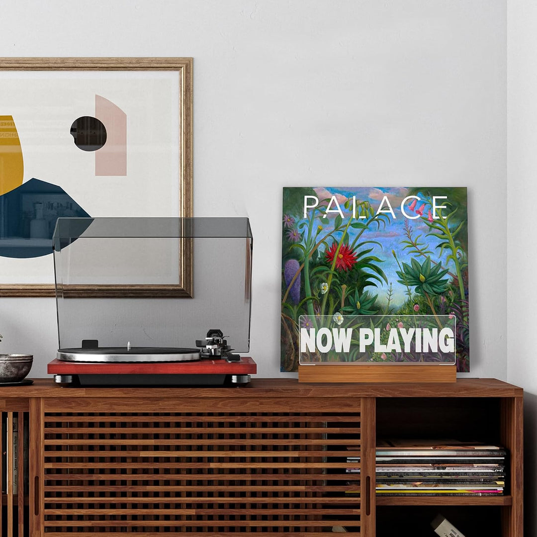 Ammonite Beleuchten Now Playing Vinyl-Schallplattenständer, Plattenständer, hölzerne Acryl-Halter fü