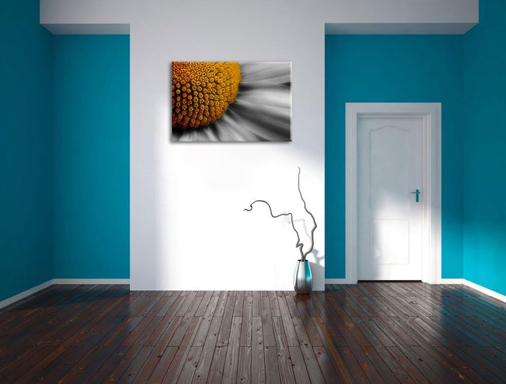 prächtige kleine Margerite schwarz/weiss auf Leinwand, XXL riesige Bilder fertig gerahmt mit Keilrah