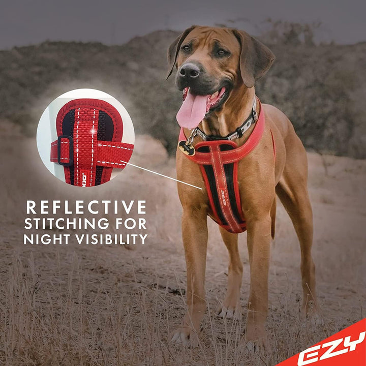 EZYDOG Hundegeschirr Classic Chest Plate | Hundegeschirr Kleine Hunde, K9 Hundegeschirr, Hundegeschi