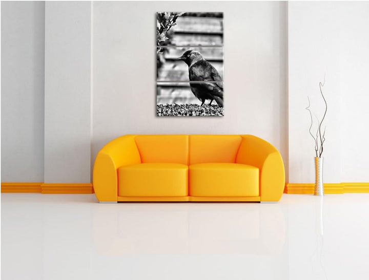 Pixxprint Vogel auf Gartenwiese als Leinwandbild/Grösse: 3 Teilig (120x80) cm/Wandbild/Kunstdruck/fe