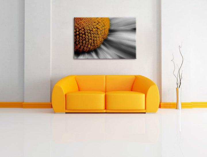 prächtige kleine Margerite schwarz/weiss auf Leinwand, XXL riesige Bilder fertig gerahmt mit Keilrah
