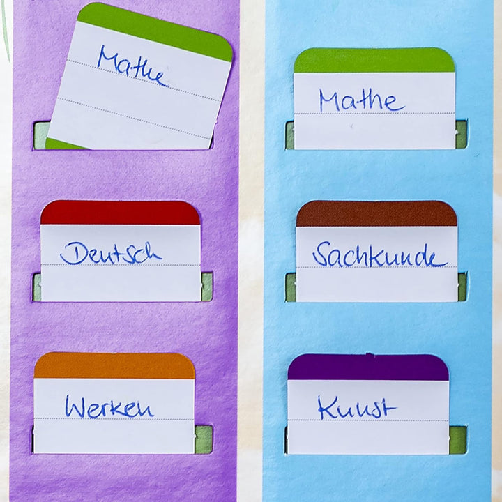 ROTH Klipp&amp;Klar Stundenplan Steck Fix - Tyrannosaurus, A3 - ideal für Jungen in der Grundschule, Din