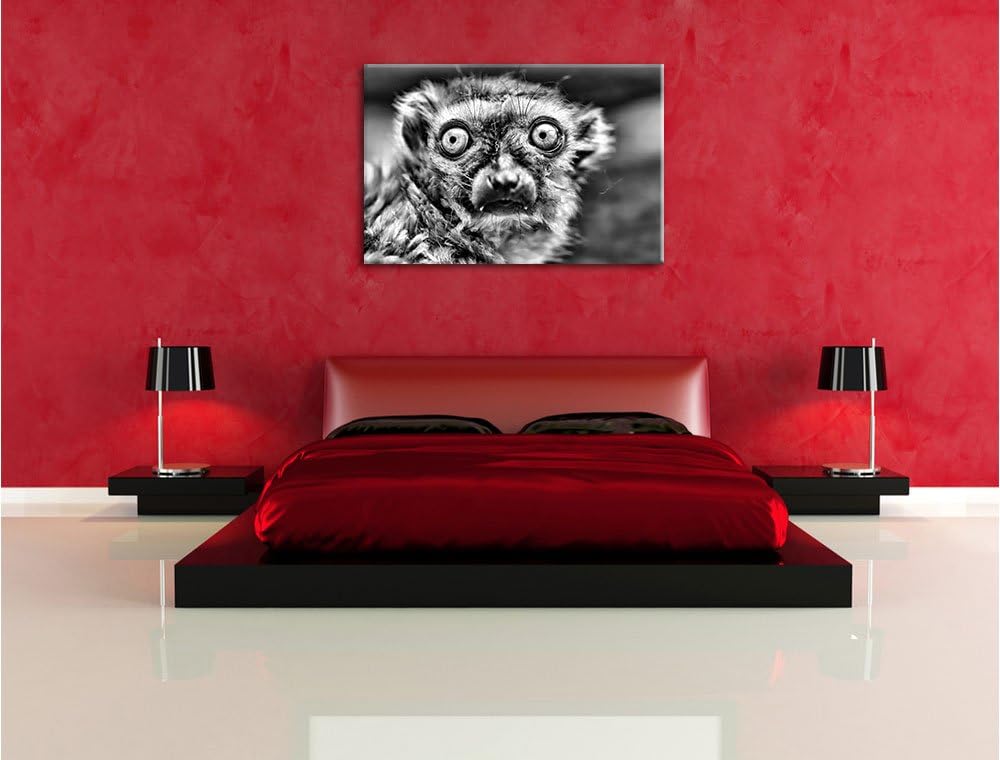 Pixxprint seltener Blauaugenmaki / 100x70cm Leinwandbild bespannt auf Holzrahmen/Wandbild Kunstdruck