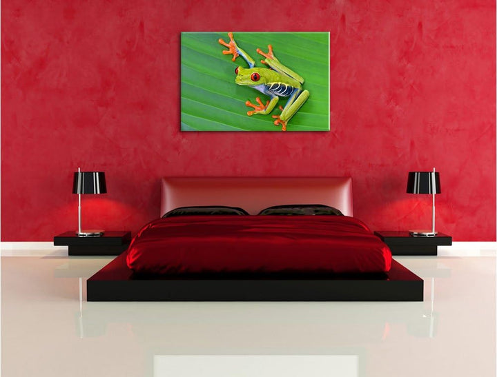 Pixxprint Kleiner grüner Frosch auf Blatt / 100x70cm Leinwandbild bespannt auf Holzrahmen/Wandbild K