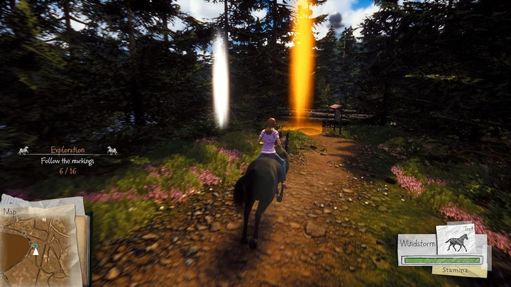 Windstorm: Start einer grossen Freundschaft PlayStation 4, PlayStation 4