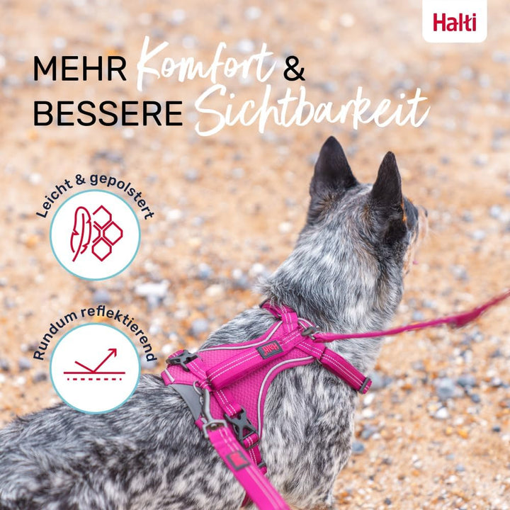 Halti Anatomie Hundegeschirr mit Griff | Grösse XS, Magenta Magenta Extra Small, Magenta Extra Small