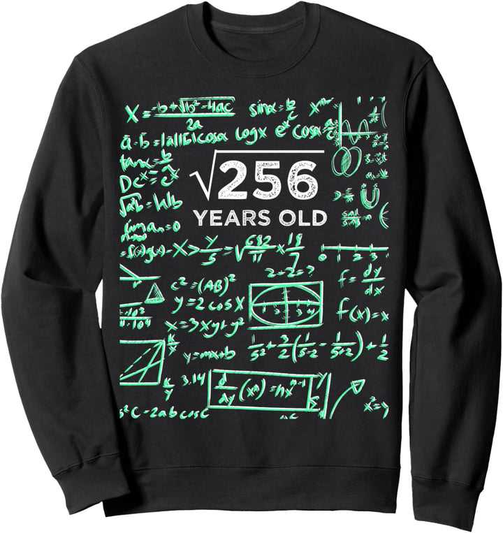 Quadratwurzel von 256 16. Geburtstag 16 Jahre alt Geschenk Sweatshirt