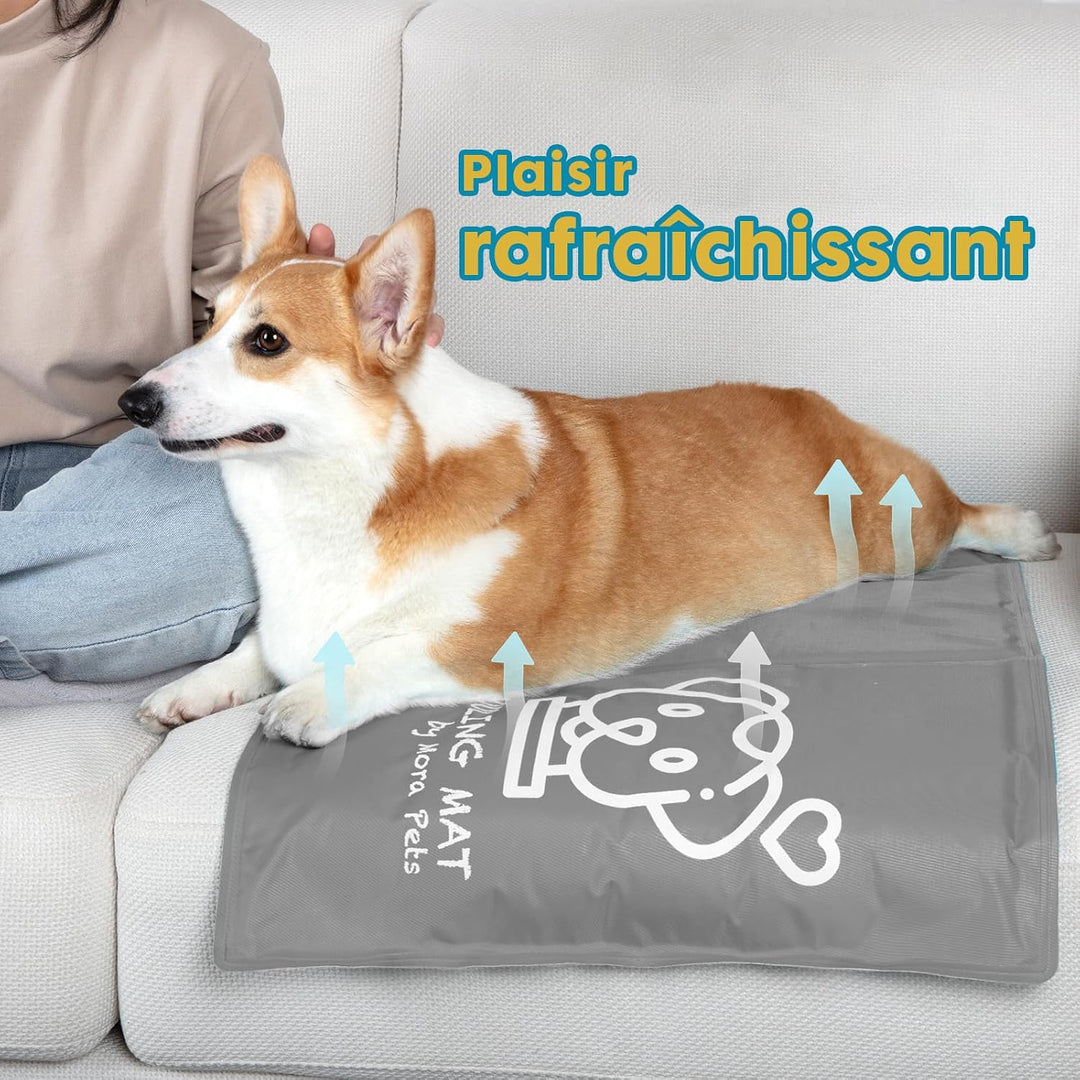 Pawtasy Kühlmatte Hunde Katze Kühldecke Sommer Kühlkissen mit Ungiftiges Gel für Klein Haustiere Hun