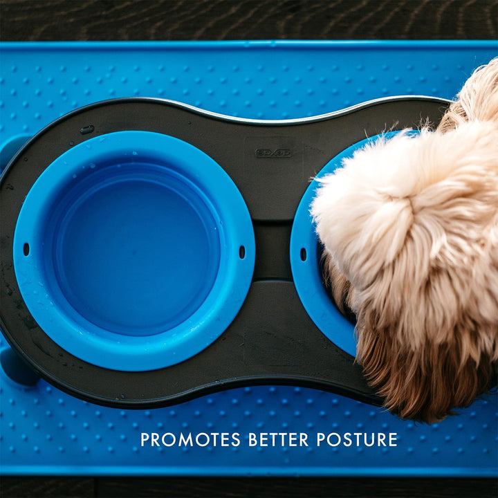 Dexas Pets PW1104322194 Doppelerhöhter Futterspender für 2,5 Tassen, Blau Large/2.5 Cup Capacity Bow
