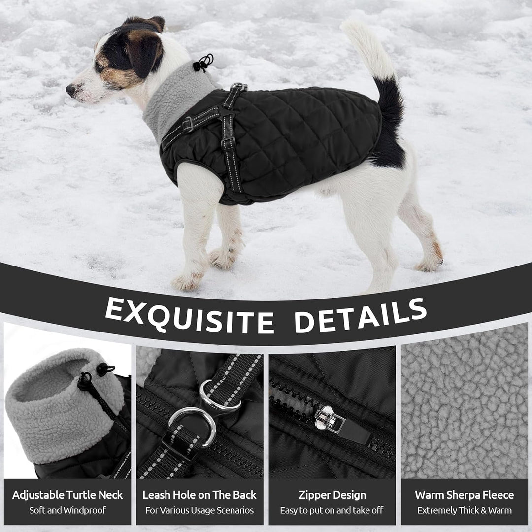 Queenmore Wintermantel Hund mit Geschirr Hundemantel Wasserdicht S schwarz, S schwarz