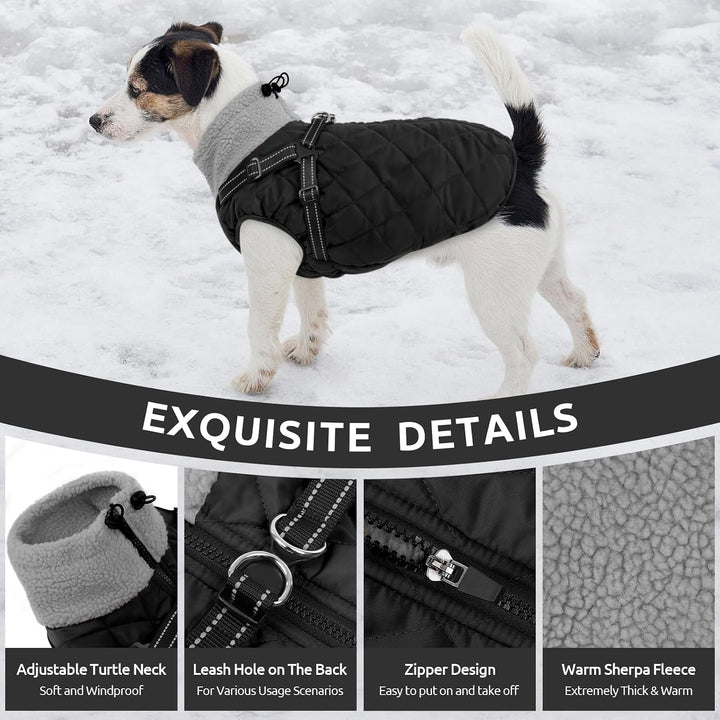 Queenmore Wintermantel Hund mit Geschirr Hundemantel Wasserdicht S schwarz, S schwarz