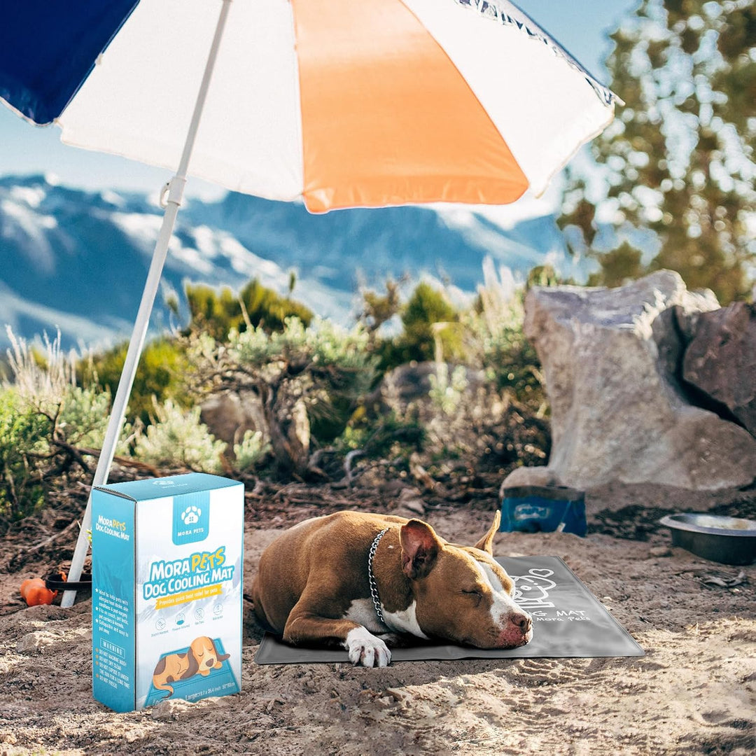 Pawtasy Kühlmatte Katze Hunde Kühldecke Sommer Kühlkissen mit Ungiftiges Gel für Klein Haustiere Hun