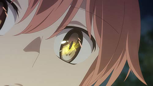 Bloom Into You - Volume 3 (Episode 9-13) im Sammelschuber, DVD