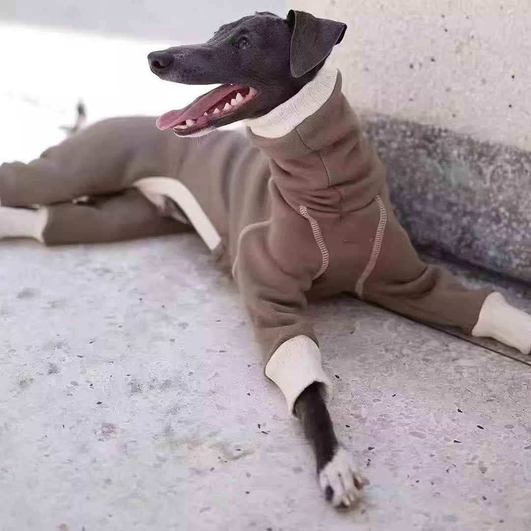 Leichter italienischer Windhund-Pullover, Whippet-Kleidung mit Beinen, winddichter Rollkragen-Hunde-