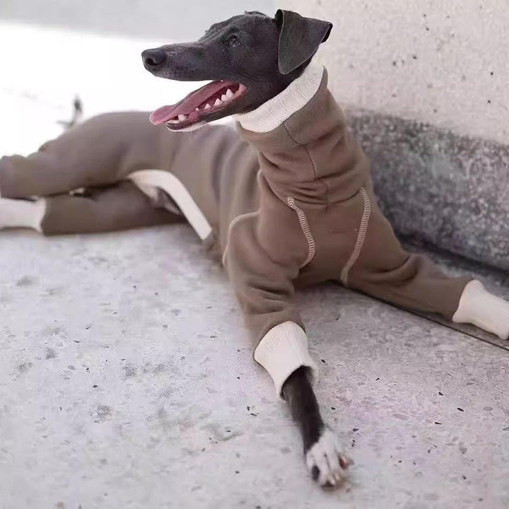 Leichter italienischer Windhund-Pullover, Whippet-Kleidung mit Beinen, winddichter Rollkragen-Hunde-