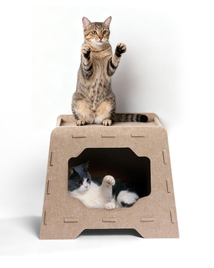 Katzenhöhle Filz Katzenhaus aus Filz für grosse Katzen, Katzen Höhle 2-Ebenen, Trapezform Stabiles K