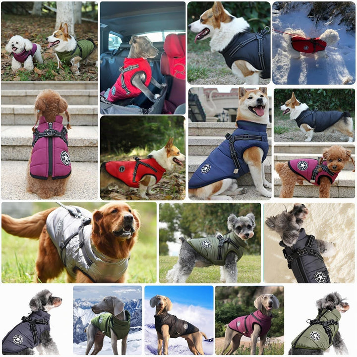 Hundejacke Winterweste Mit Geschirr, Wasserdichter Hundemantel für Kleine Hunde, Maschinen Waschbar,