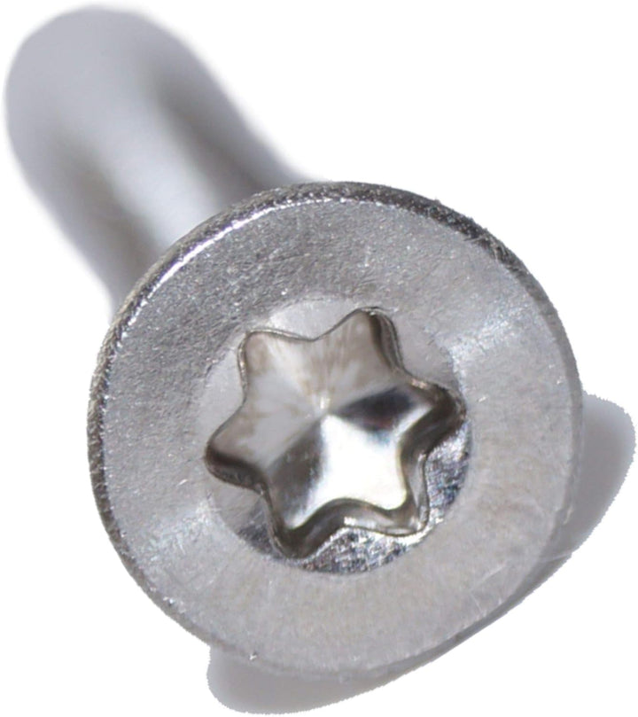 Senkschrauben mit Innensechsrund M6X12 TX30 100 Stück ISO 14581 A2 Edelstahl rostfrei Senkkopfschrau
