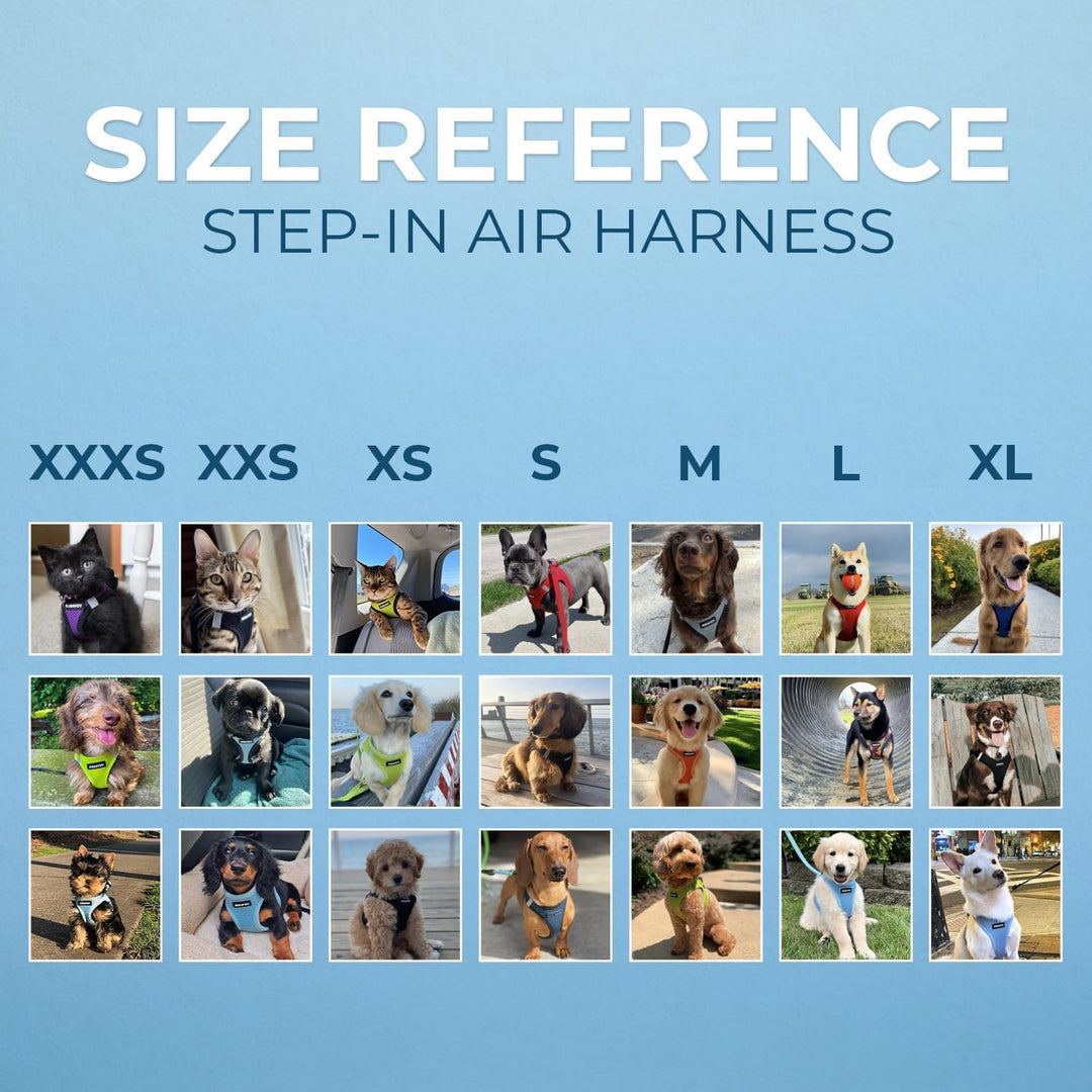 Best Pet Supplies Voyager Step-In Air Hundegeschirr â€“ Allwetter-Netzgewebe für kleine und mittelgr