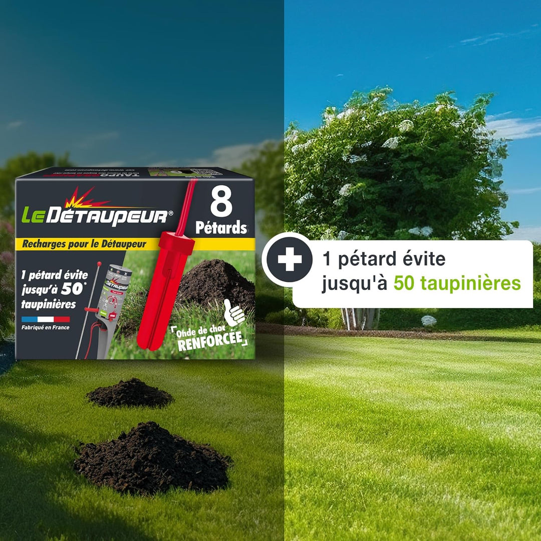 SBM DETAUPEUR RECHARGEX8 RECHARG8