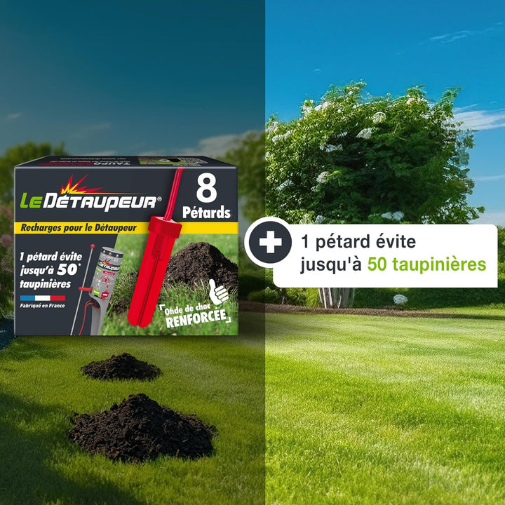SBM DETAUPEUR RECHARGEX8 RECHARG8