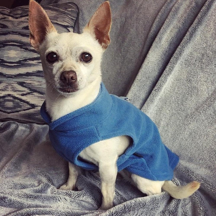 Gooby Fleece-Weste für kleine Hunde, Fleecejacke mit Ring für die Leine, Blau, Grösse M Medium chest