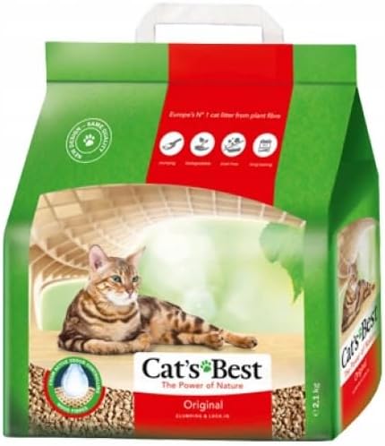 Cat&