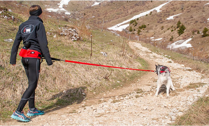 Canicross/Canirando Comfort Trek-Leine Rot