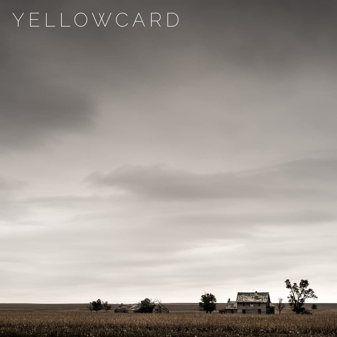 Yellowcard, Vinyl