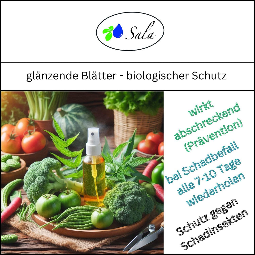 Sala BIO-Neemöl kaltgepresst mit Salamul (ersetzt Rimulgan) Emulgator 5 L Kanister 5 l (1er Pack), 5