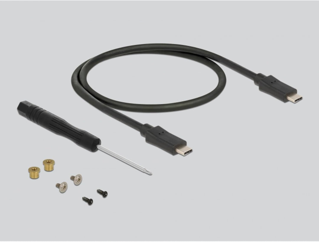 Delock Externes Gehäuse für M.2 SATA SSD mit USB Type-C™ Buchse