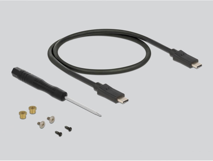 Delock Externes Gehäuse für M.2 SATA SSD mit USB Type-C™ Buchse