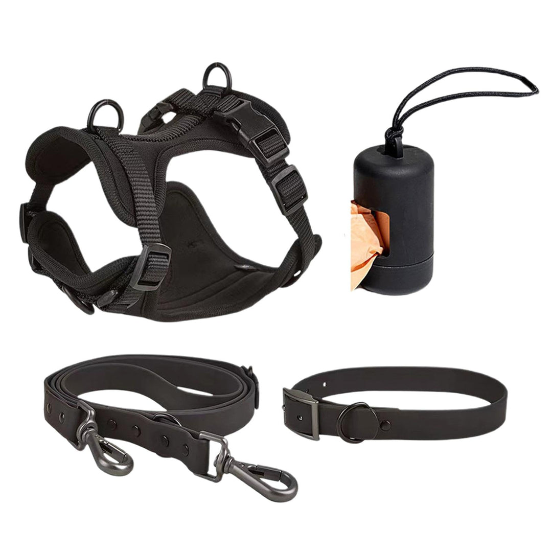 Hundegeschirr-Set – Hundehalsband, Leine, Set für kleine Haustiere, Halsband und Leine, kein Ziehen,