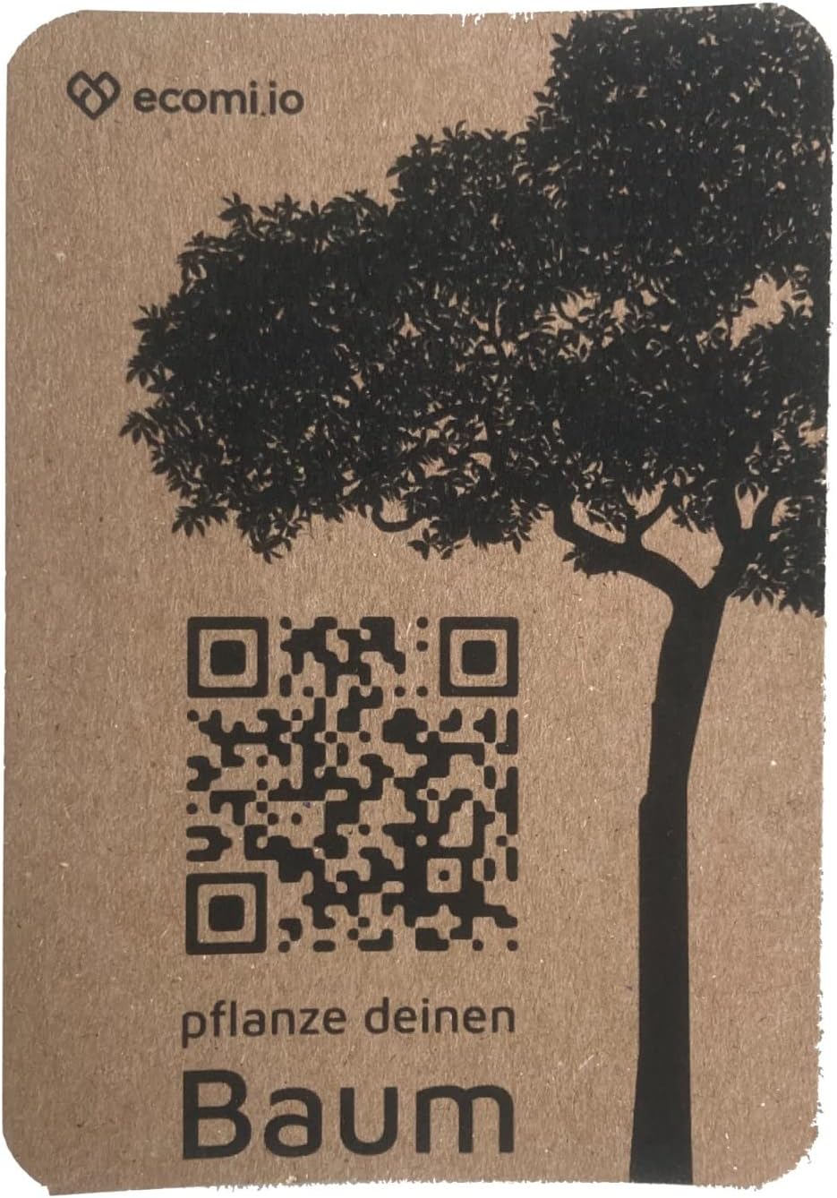 Vermiculite-Platte (5, 500 x 300 x 25 mm) + GRATIS 1 echten Baum pflanzen 5 500 x 300 x 25 mm, 5 500